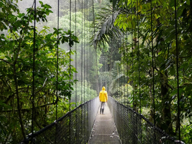 Une personne sur un pont dans une forêt nuageuse
