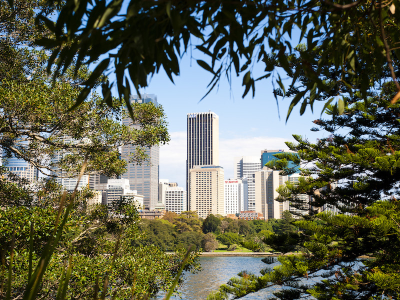 Vue de Sydney CBD depuis les jardins botaniques royaux de Sydney, Australie.