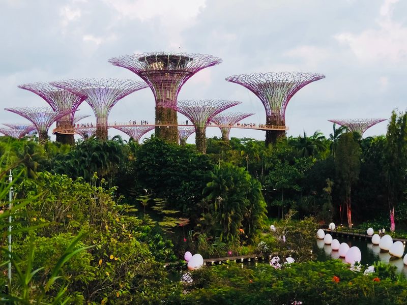 gardens by the bay Singapour