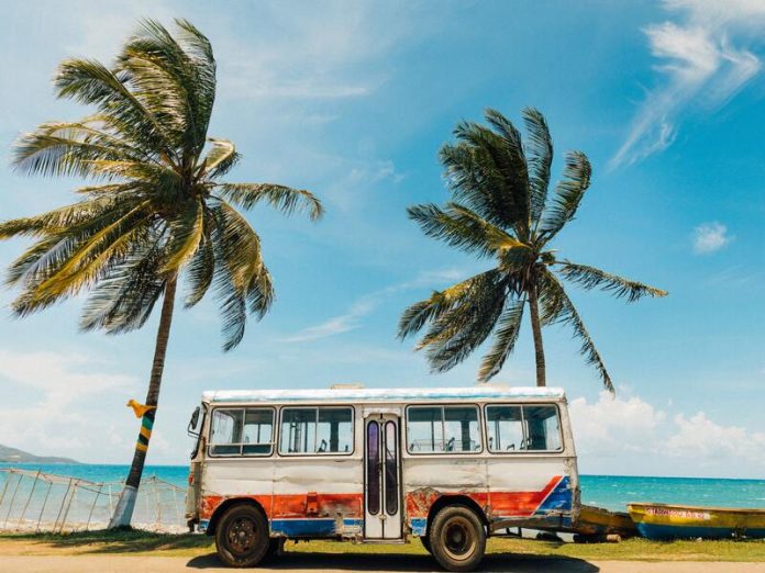 Bus devant des palmiers.