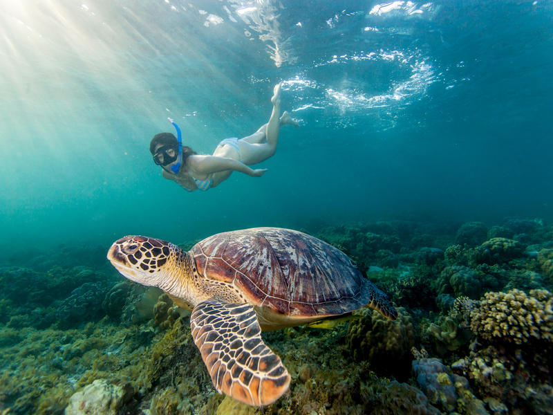 Jeune femme nageant avec une tortue de mer verte (Chelonia Mydas), Moalboal, Cebu, Philippines.