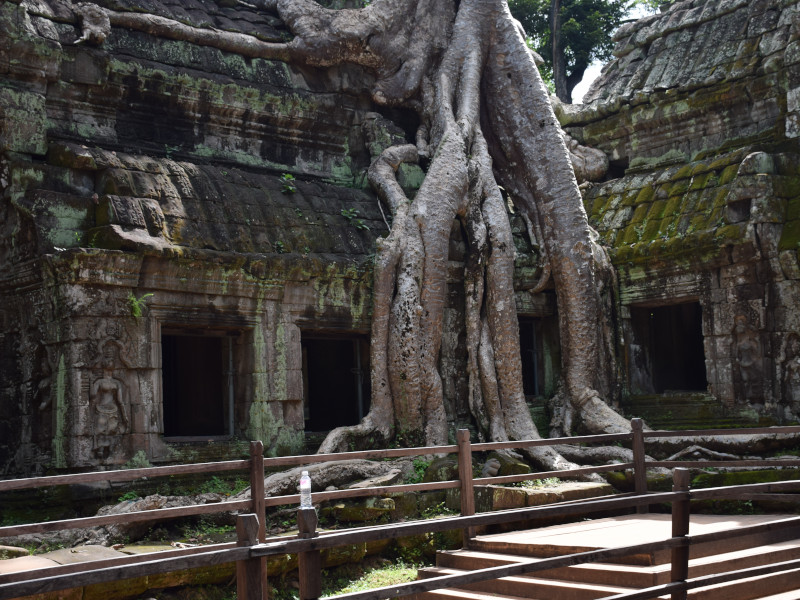 Site archéologique d'Angkor