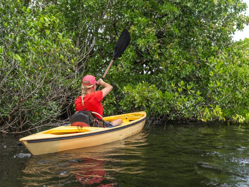 Un kayakiste explore une forêt de mangrove à bord d'un seul kayak jaune. La forêt de mangroves est une bonne addition à votre itinéraire d'une journée à Nusa Lembongan.