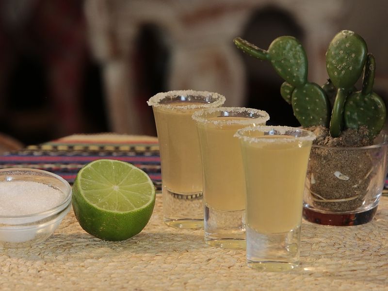 Acapulco vaut-il la peine d'être visité ? Certainement. Cette image montre un cactus en pot de chaux et de verre. Entre eux, trois verres à shot alignés avec des bords salés.