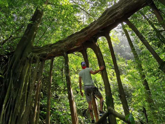 Est-ce que Monteverde vaut la peine d'être visité ?