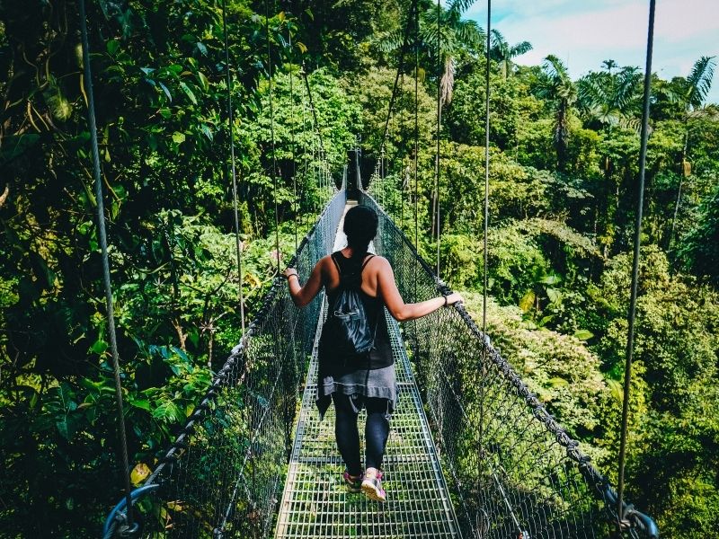 explorez les passerelles suspendues et les ponts suspendus des forêts nuageuses 