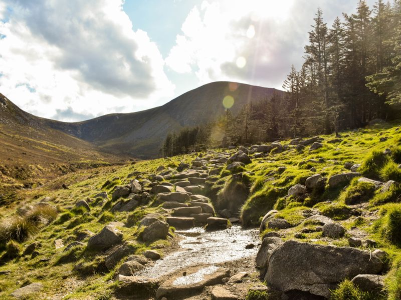 Une randonnée au Slieve Donard est une activité pittoresque à faire en Irlande du Nord. Cette image montre un chemin rocheux menant à une forêt et une montagne.