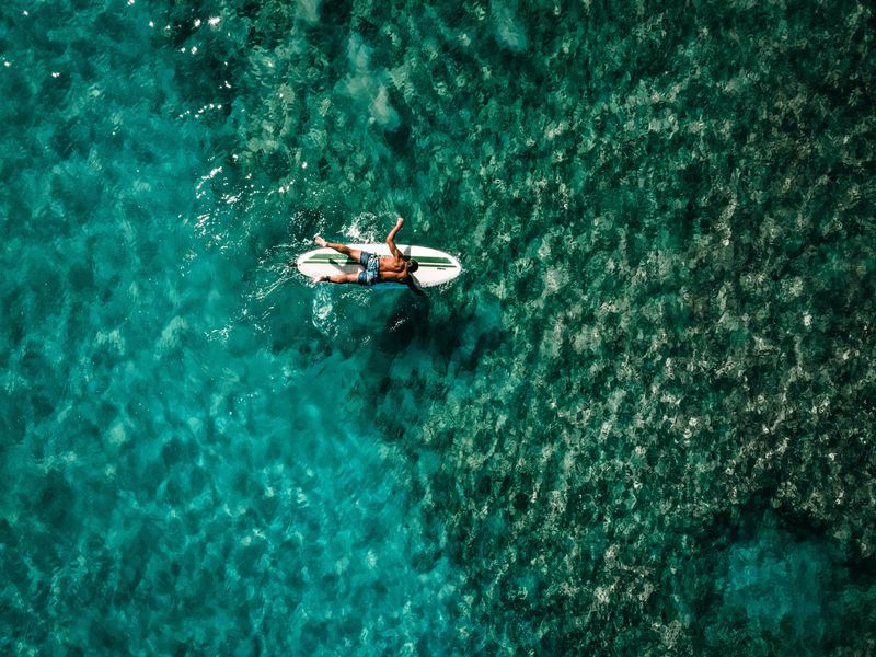 Un surfeur solitaire d'une perspective aérienne sur la mer verte. Les eaux abritées de Playa Dominicalito permettent aux débutants de faire du surf au Costa Rica.