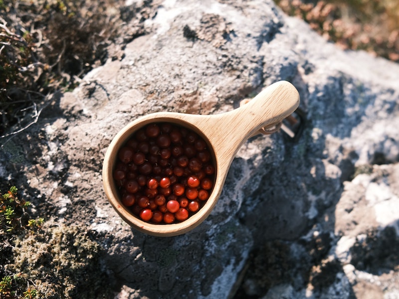 Un bol rempli de baies en Norvège. 