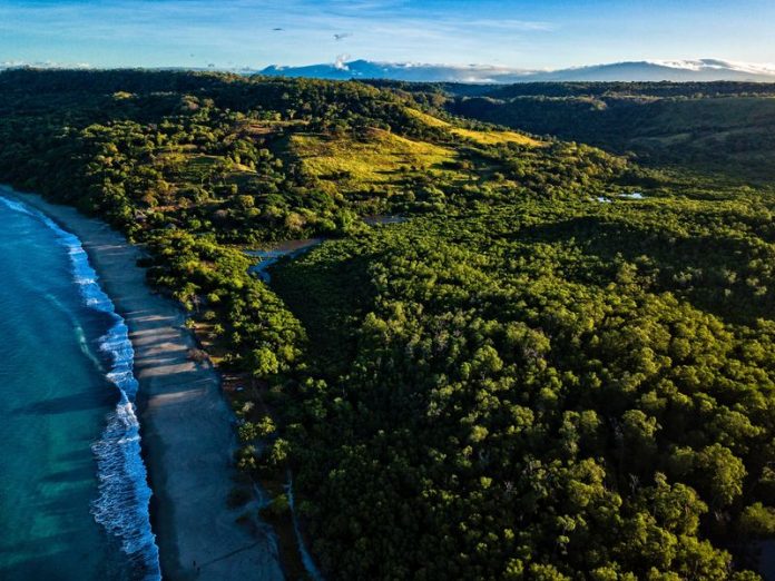 Une vue aérienne d'une plage du Costa Rica avec une végétation luxuriante.