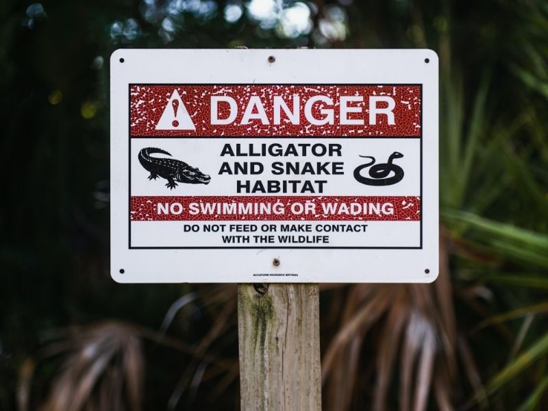 il y a toujours un danger à pénétrer sur le territoire d'un animal sauvage. 