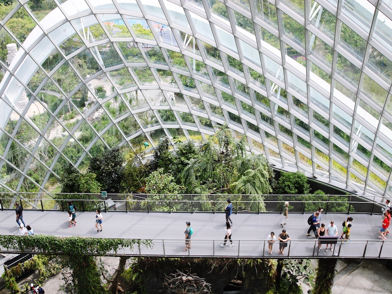 skyline garden