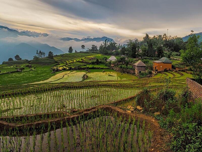 Le Vietnam est-il cher ? Rizières au Vietnam