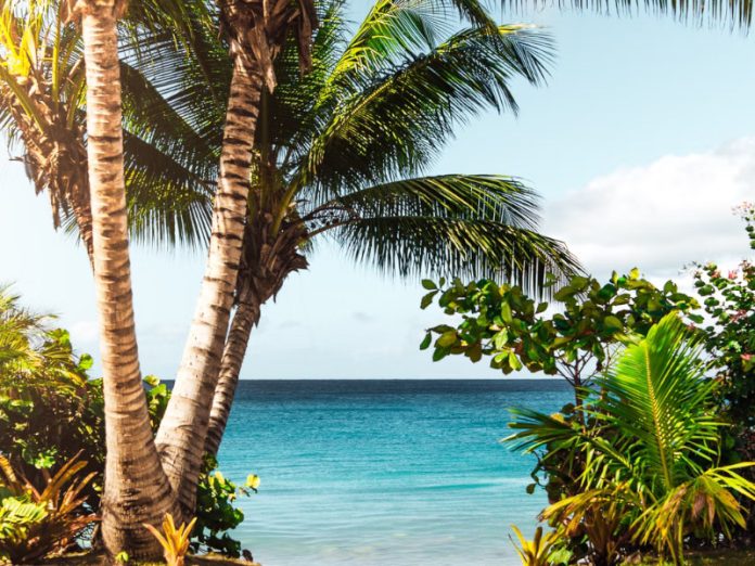 Jamaïque vs Porto Rico Jamaïque vs Porto Rico