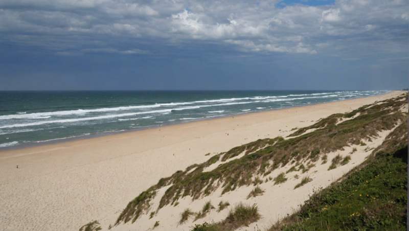 découvrez la météo actuelle à seignosse plage et préparez votre journée ensoleillée ou pluvieuse avec les prévisions météorologiques de seignosse plage.