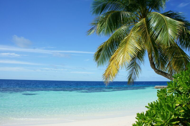 découvrez les plus belles plages du monde et préparez-vous à vivre des moments de détente et de rêve au bord de l'océan.
