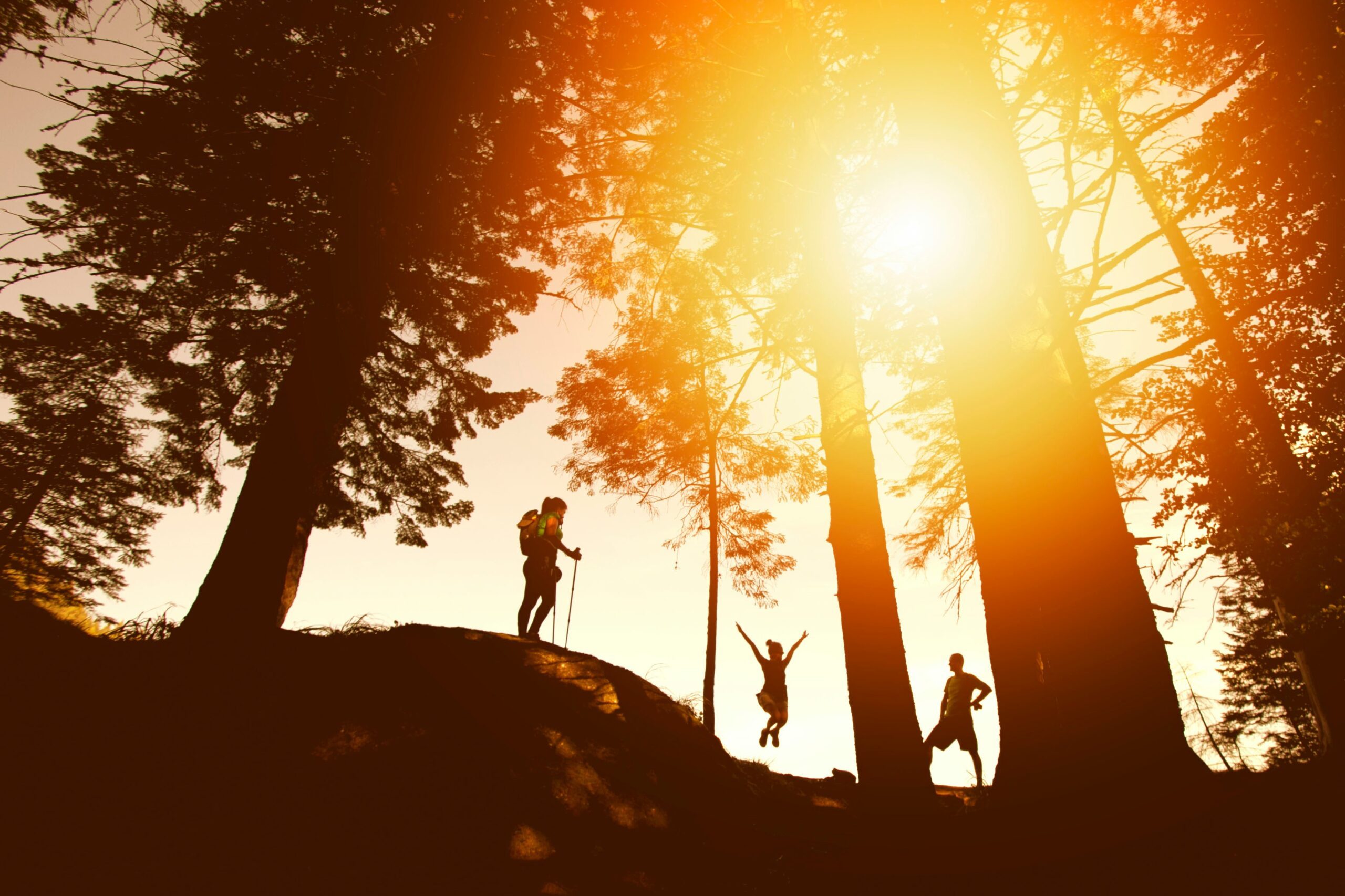 découvrez nos conseils et astuces pour profiter au maximum de la randonnée et de la marche en plein air. trouvez des destinations, des itinéraires, et des recommandations pour une expérience de randonnée inoubliable.