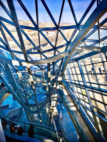 musée des Confluences