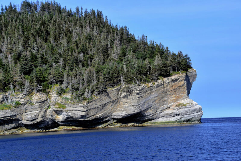 Évasion en Gaspésie