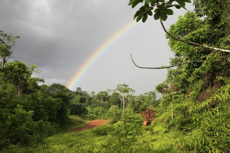 arc en ciel