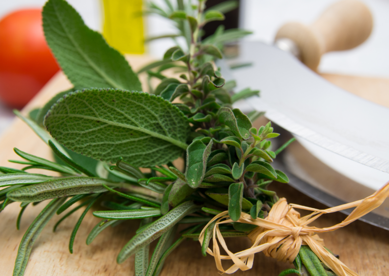 bouquet de menthe