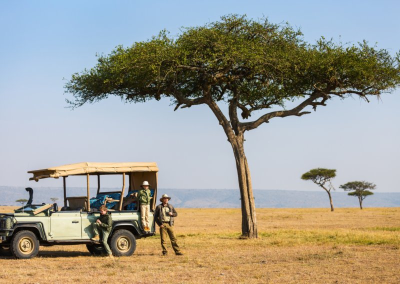 safari