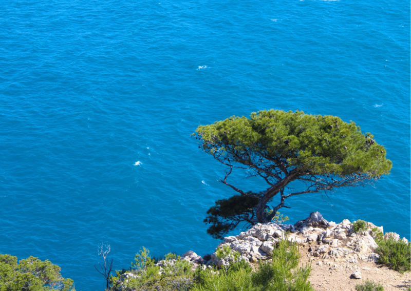 mer Méditerranée Provence