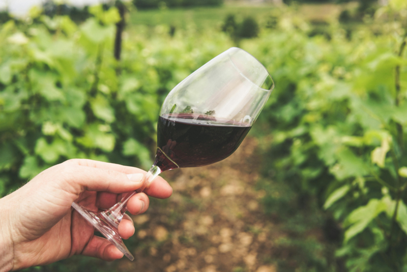 vignoble bourgogne