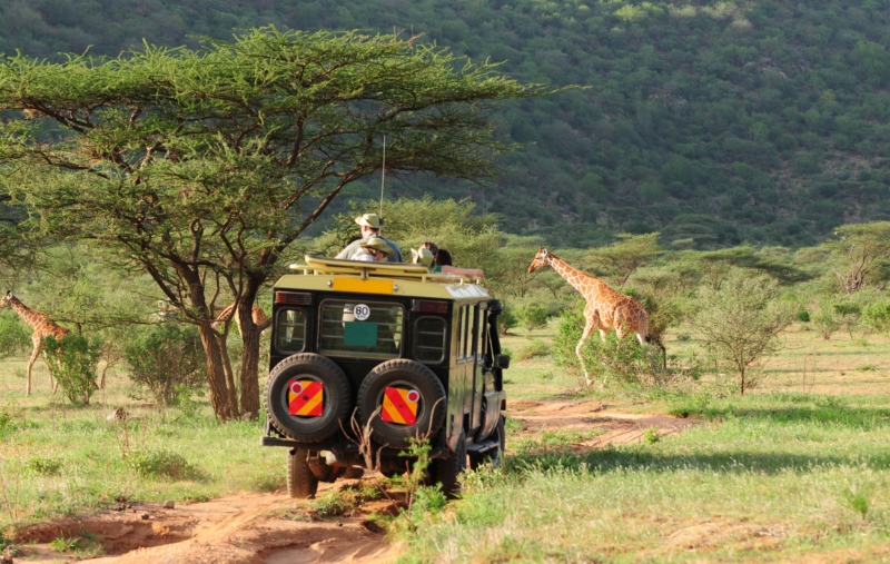 safari 4x4