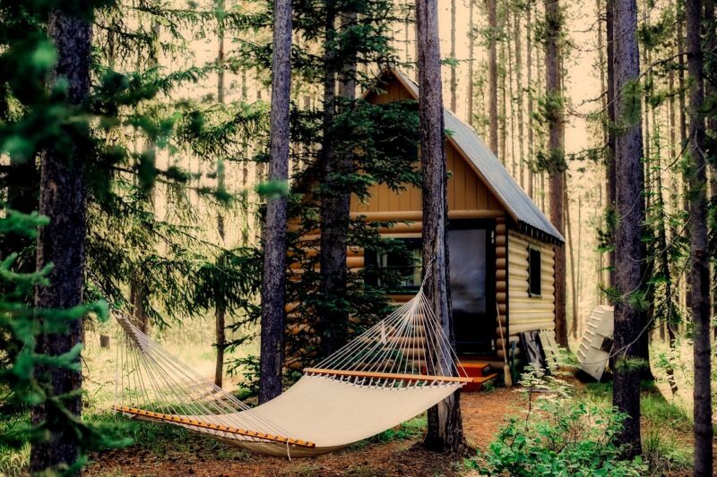 Cabane perchée : est-ce adapté avec des enfants ?